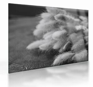 Tablou pe sticlă - iarbă de coadă de iepure pe masă (70x50 cm)