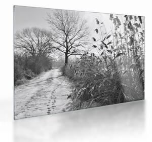 Tablou pe sticlă - Câmpuri în timpul iernii (70x50 cm)