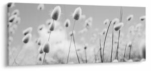 Tablou - Boho iepuraș coadă de iarbă (120x50 cm)
