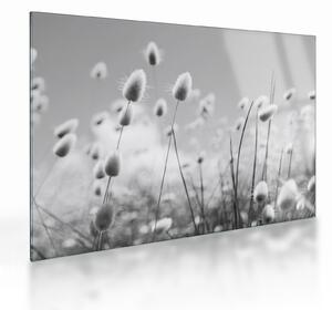 Tablou pe sticlă - Boho iepuraș coadă de iarbă (70x50 cm)