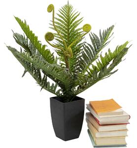 Planta decorativa Farn 55cm