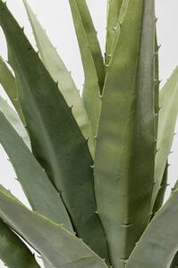 Planta decorativa Agave 85cm