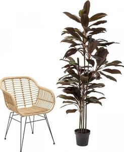 Planta decorativa Rainforest Rosu 170cm
