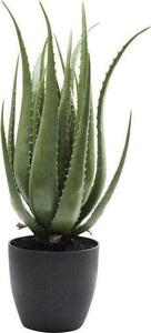 Planta decorativa Aloe 69cm
