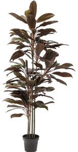 Planta decorativa Rainforest Rosu 170cm