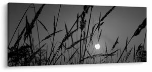 Tablou - Pajiște cu apus de soare (120x50 cm)