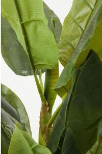 Planta decorativa Banana Tree 180cm