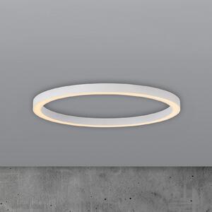 PURE Plafonieră LED Lines, Ø 70 cm, albă, telecomandă CCT, reglabil, Alb, Camera de zi / sufragerie, Metal, Modern