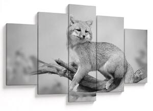 Tablou - Vulpe gri (150x105 cm)
