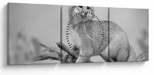 Tablou - Vulpe gri (cu ceas) (90x30 cm)