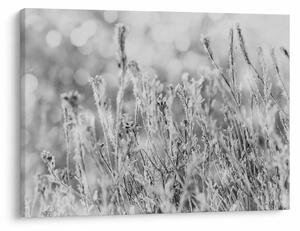 Tablou - Iarna rece (70x50 cm)