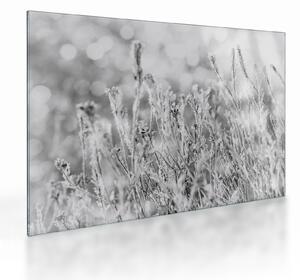 Tablou pe sticlă - Iarna rece (70x50 cm)
