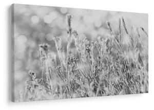 Tablou - Iarna rece (90x60 cm)