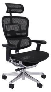Scaun de birou Ergohuman 2 Elite BS Black