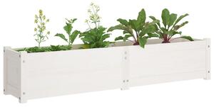Strat înălțat de grădină, alb, 150x31x31 cm, lemn masiv de pin