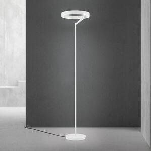 Orion - Lampă de podea LED dimmabilă KOLK LED/40W/230V 2700/4000K albă