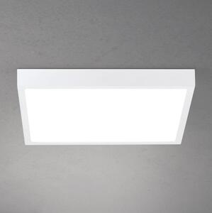 Orion - Plafonieră LED dimabilă DISC LED/30W/230V 2700/3000/4000K 39x39 cm alb