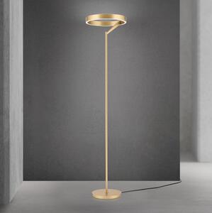 Orion - Lampadar LED dimabil KOLK LED/40W/230V 2700/4000K auriu