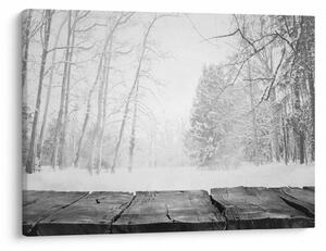 Tablou - Pier de lemn în timpul iernii (70x50 cm)