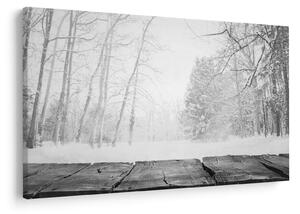 Tablou - Pier de lemn în timpul iernii (90x60 cm)