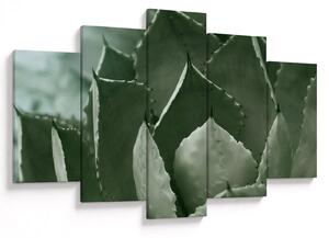 Tablou - Agave verde (150x105 cm)