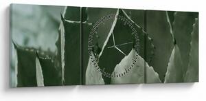 Tablou - Agave verde (cu ceas) (90x30 cm)