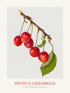 Reproducere Cherries (Watercolour Kitchen Fruit)