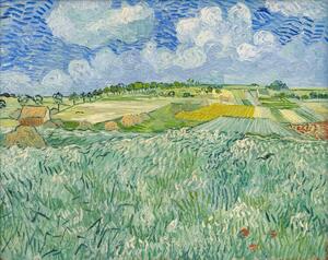 Reproducere Plain at Auvers, 1890, Vincent van Gogh