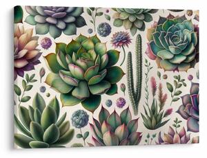 Tablou - Plante suculente (70x50 cm)