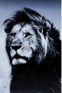 Tablou Lion King Standing