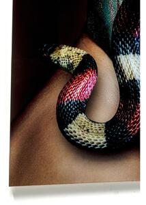 Tablou din sticla Snake Girl 80x120 cm