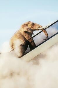 Tablou cu rama Elephant In The Sky 150x100cm