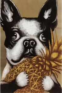 Tablou Dog with Pineapple 80x80cm