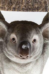 Masuta Koala Ø33cm