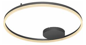 Plafonieră LED HALO LED/55W/230V neagră Azzardo AZ4703