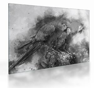 Tablou pe sticlă - Acuarelă papagali (70x50 cm)