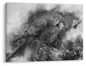 Tablou - Acuarelă papagali (70x50 cm)