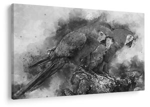 Tablou - Acuarelă papagali (90x60 cm)