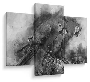 Tablou - Acuarelă papagali (90x60 cm)