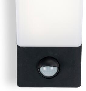 Brilagi - Lampă LED de perete pentru exterior ARCELO LED/12W/230V IP65 neagră