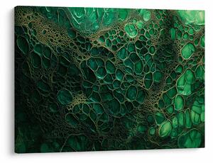 Tablou - Imagine microscopică verde (70x50 cm)