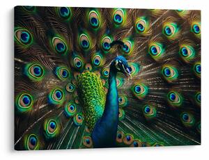 Tablou – Păun (70x50 cm)