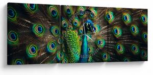 Tablou – Păun (cu ceas) (90x30 cm)