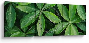 Tablou - Frunze cu picături de rouă (cu ceas) (90x30 cm)