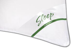 Set 2 perne Green Future sleep puf si pana de gasca, bumbac 100%, 50x70 cm