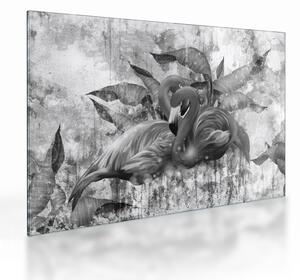 Tablou pe sticlă - Graffiti cu flamingo (70x50 cm)