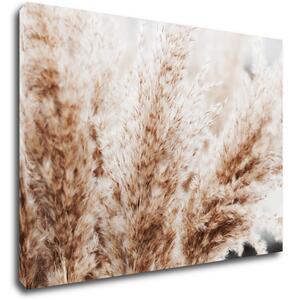 Impresi Tablou Dry flowers detail - 70 x 50 cm