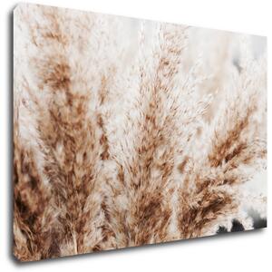 Impresi Tablou Dry flowers detail - 60 x 40 cm