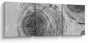 Tablou - Motivul copacului (cu ceas) (90x30 cm)
