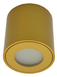 Spot exterior FARA 1xGU10/30W/230V IP54 auriu